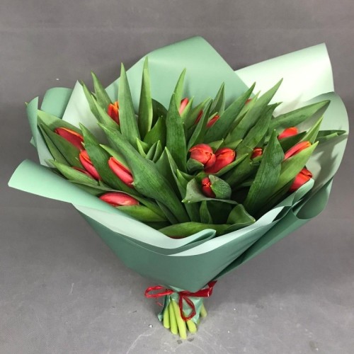 Red tulip bouquet (Compact)